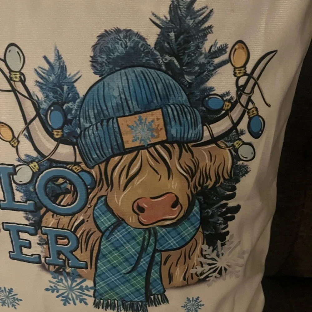 Hello Winter Holiday Pillow case with Blue and Brown Designb NWOT